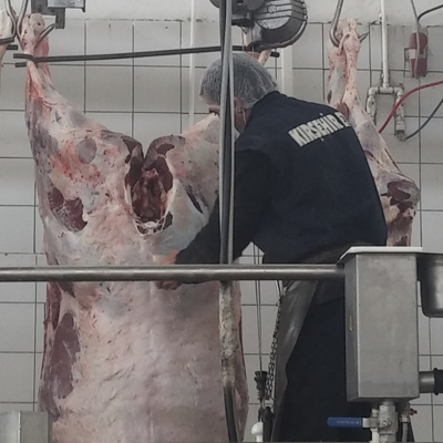 kırşehir Kesimhane