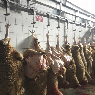 kırşehir Kesimhane