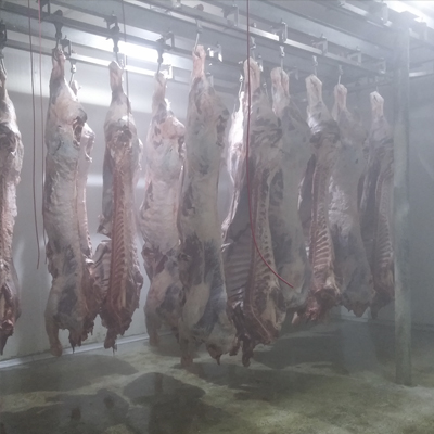 kırşehir Kesimhane