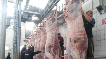 Kırşehir Kesimhane