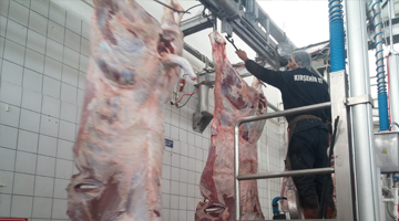 Kırşehir Et Kesimhane